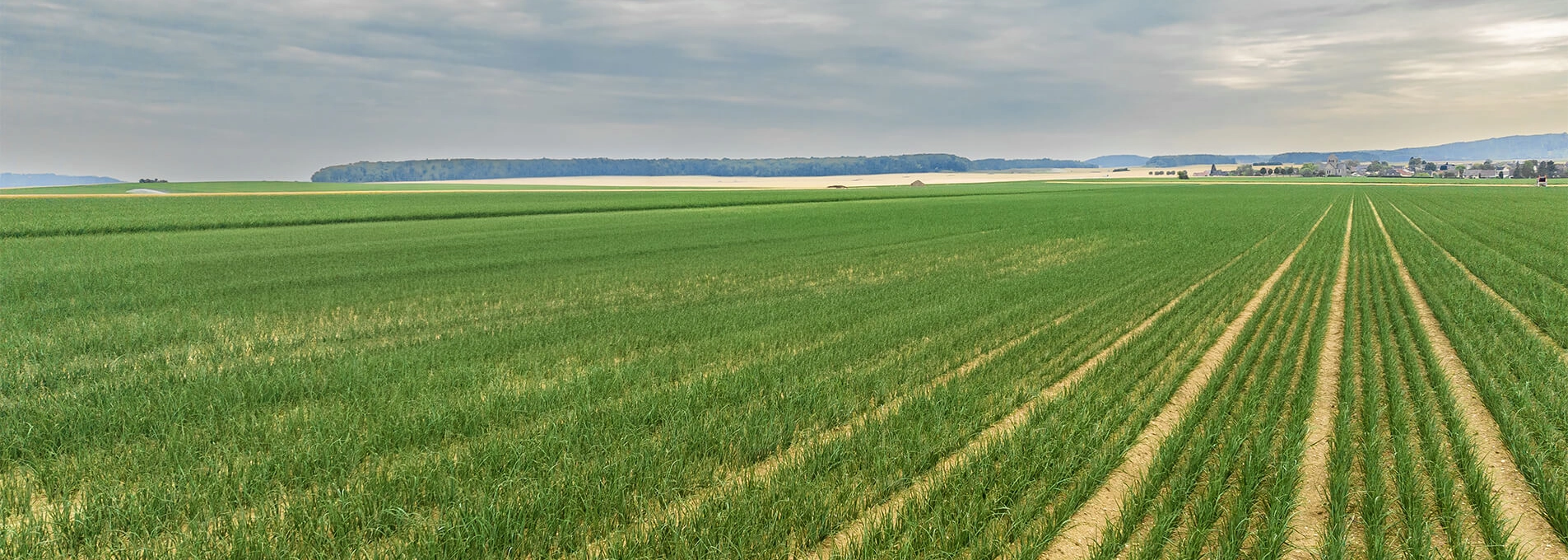 Pulvérisateur automoteur agricole VEGA EVRARD